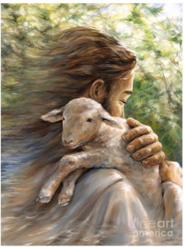 photo_2025-04-18_22-57-11