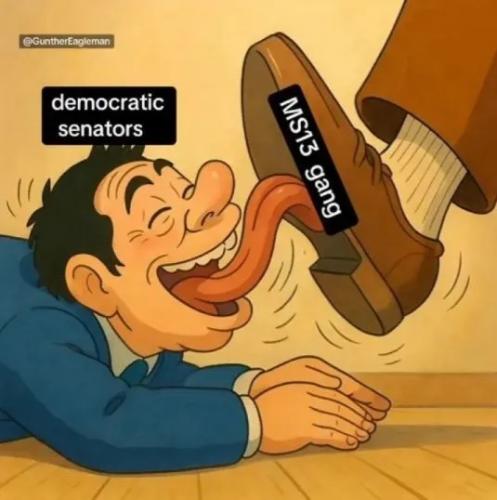 1000087935