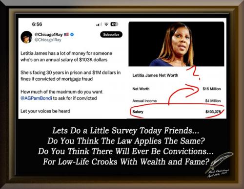 Letitia James ~Low-Life Elite~