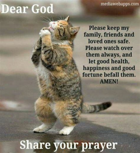 Watch over