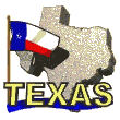 texas1