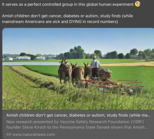 Amish no vax