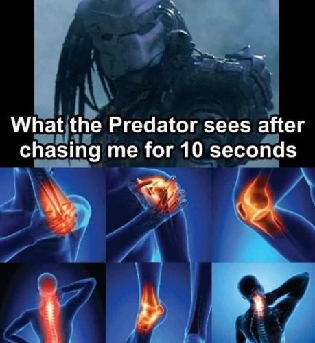 predator