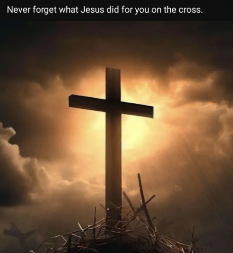 662