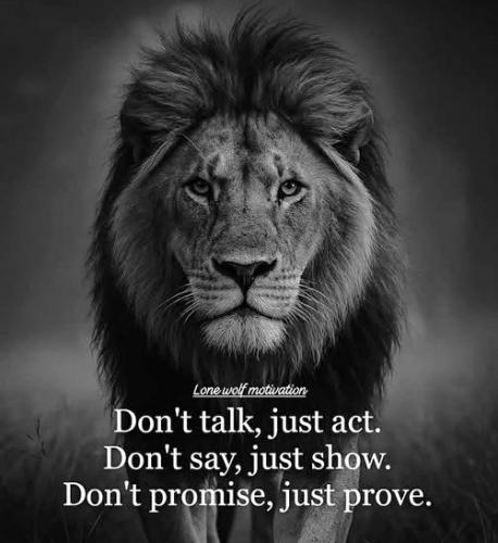 042925 - Don't - Just Do