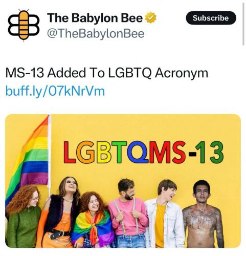 photo_2025-04-23_15-03-04