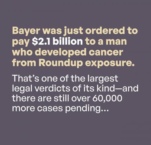 photo_2025-04-03_20-13-37