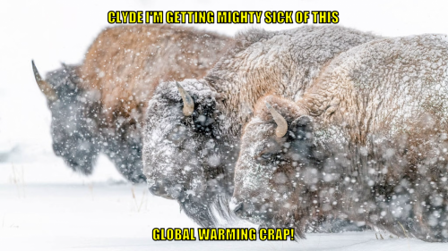 cigmsotgwc