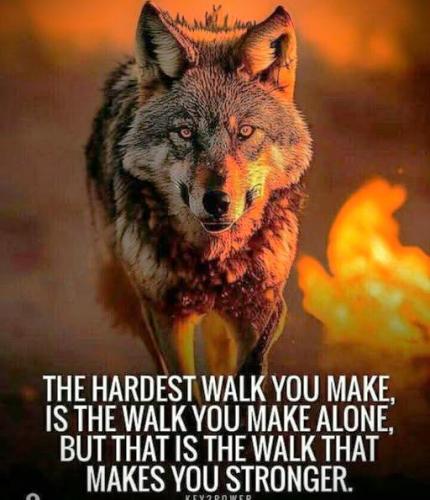 040925 - Walk makes you stronger