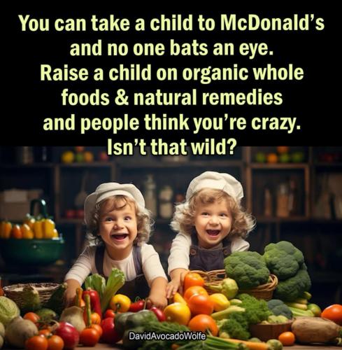 photo_2025-04-10_17-48-22