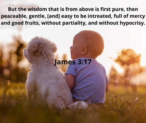7A4D70F7B7573B919912FF79ADD88D24.bible110