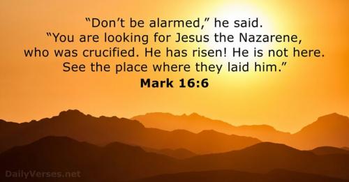 mark-16-6-2