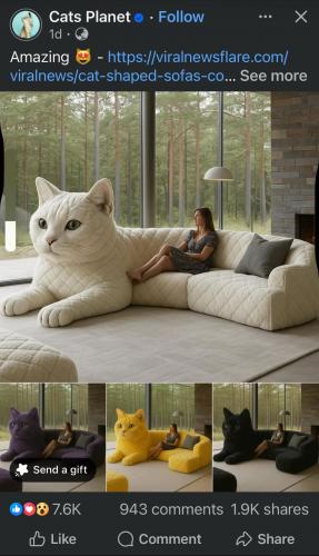 Catsofa