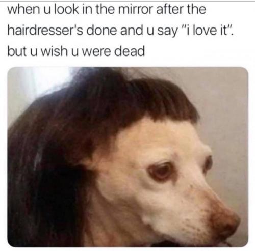 photo_2025-04-20_20-19-41