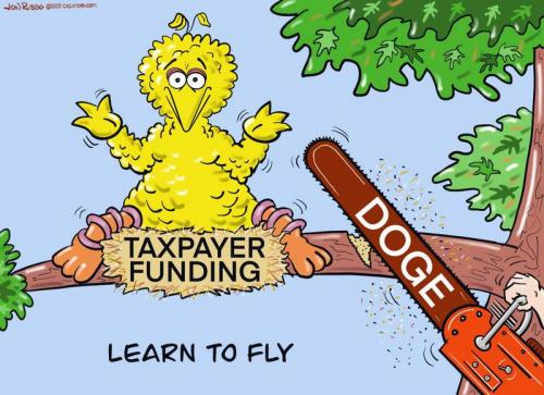 DOGE BIG BIRD