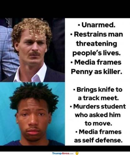 the-media-is-fake-news