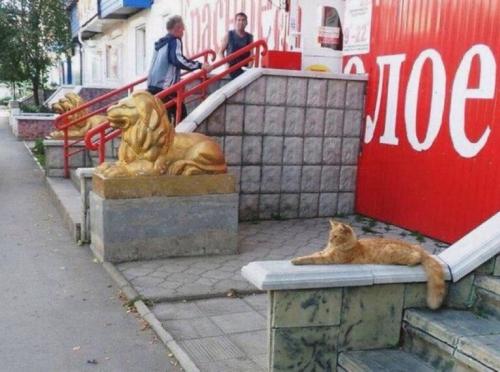 lionstatue
