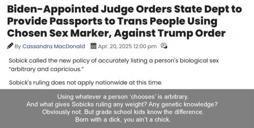 Trans passport