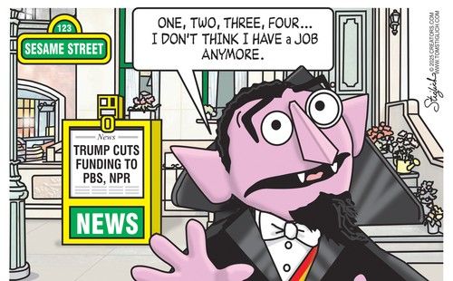 BIG BIRD COUNT
