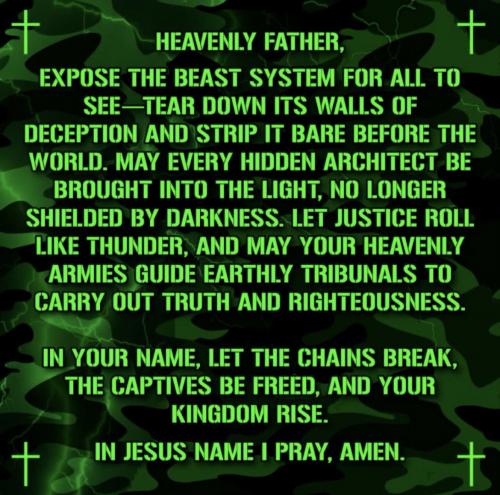 photo_2025-05-06_14-34-32