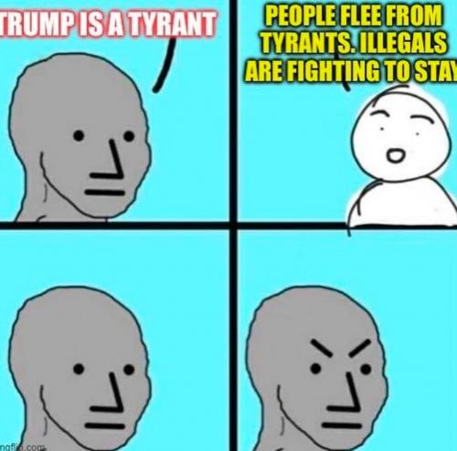 photo_2025-05-08_19-12-48