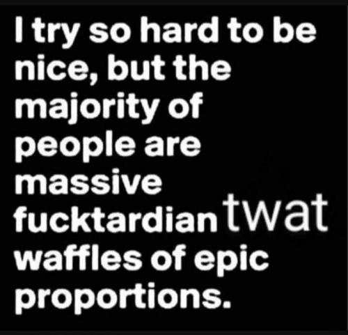 majority