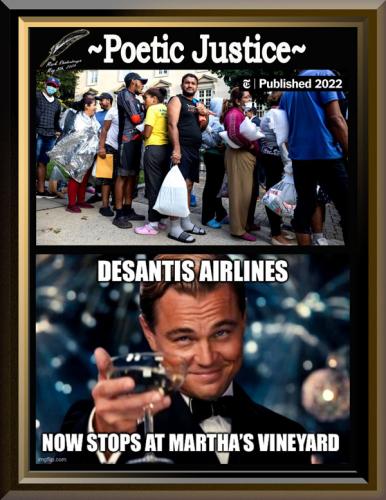 Martha Vinetards Poetic Justice