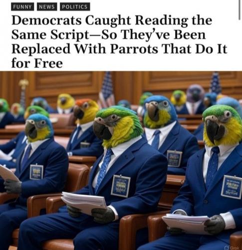 1000090106