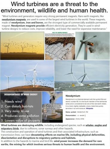 Wind Turbines Environmental Damage.814px