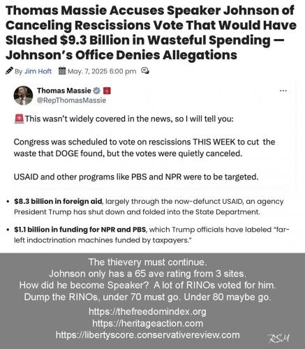 Johnson RINO