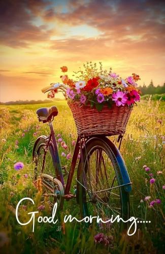 Good Morning 1