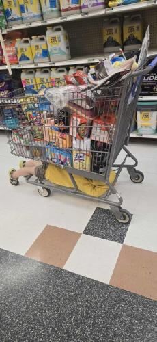 photo by KyT. May 2025.  Shopping is hard work with Memaw.