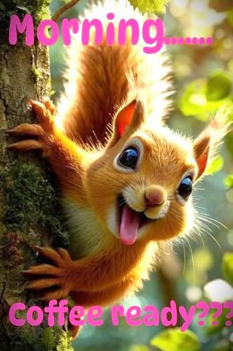 052425 - Coffee ready Squirrel