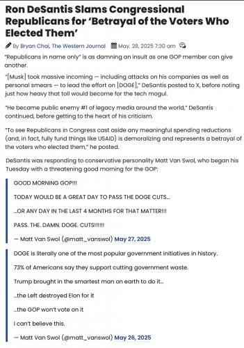 DeSantos on RINOs