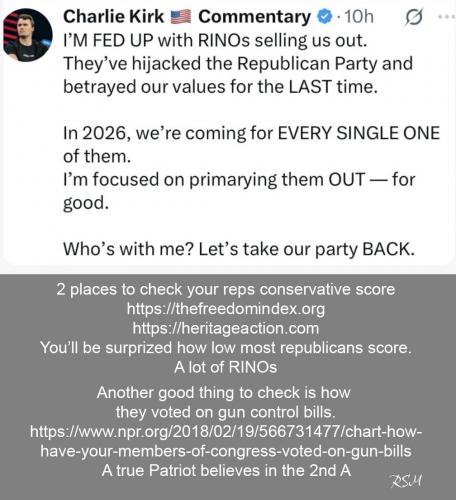 C Kirk on RINOs