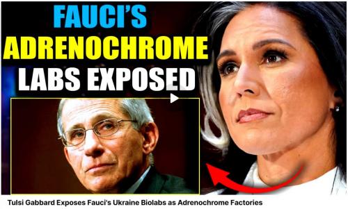 Tulsi Gabbard Exposes Fauci's Ukraine Biolabs as Adrenochrome Factories