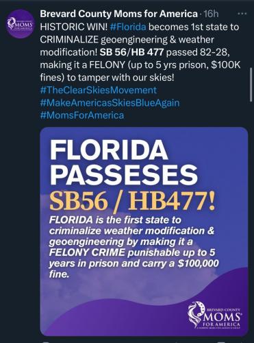 photo_2025-05-01_20-58-24