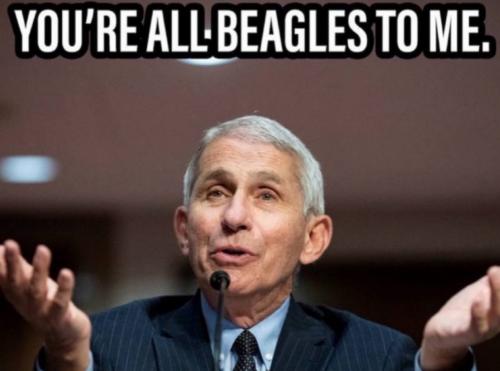 photo_2025-05-10_17-44-59