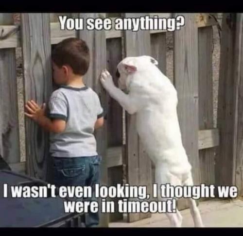 Time out