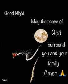 Cat moon nite