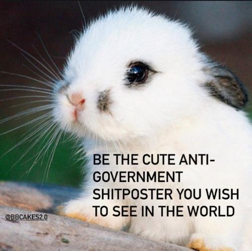 photo_2025-05-28_22-46-24