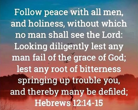 051025 - Follow peace Heb 12, 14-16