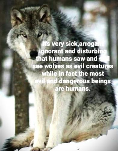 051025 - Humans most dangerous