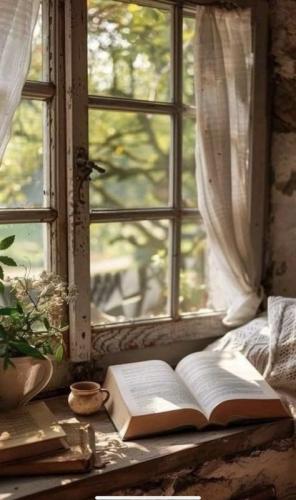 Good Morning 9
