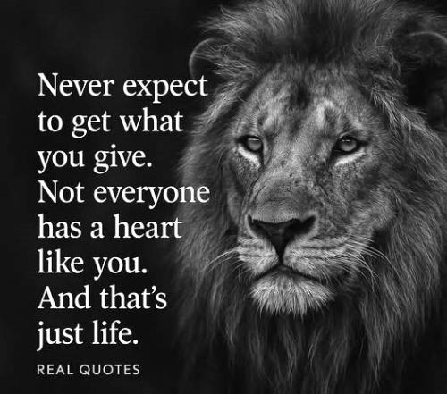 051925 - Never expect