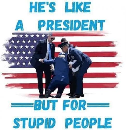 stupid people president