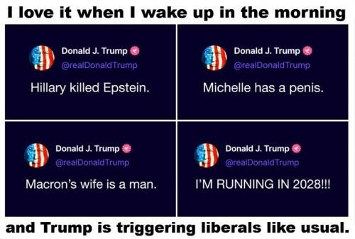 Trump triggering liberals.768px