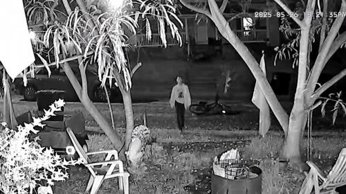 Want-To-Be TV Thief