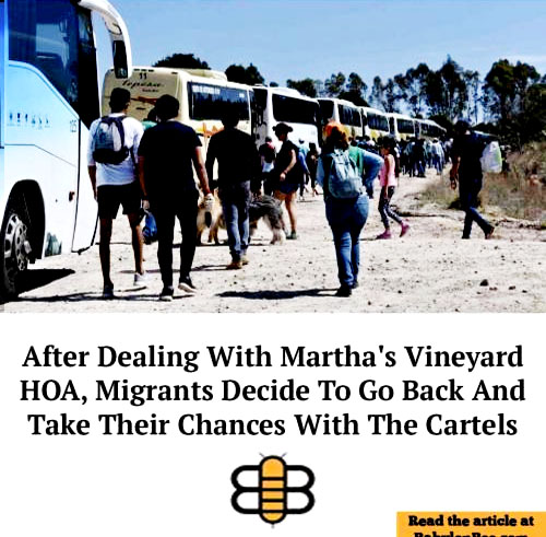 Martha's Vinevard 6