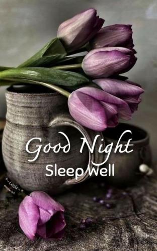 Good Night 12